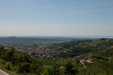 Fototapeta na wymiar Landscape of hills with vineyards in Italy