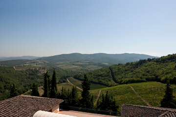 View of vineyards and rural scenery from uphill, Italy 