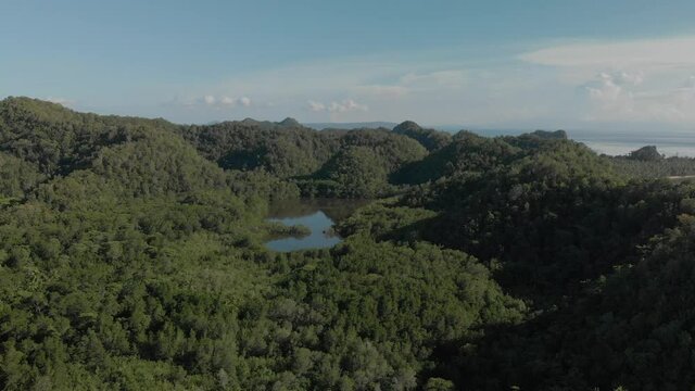 Beautiful aerial drone shot above dense  green forest in island in siargao the philippines. sunny day