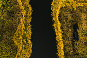 Top-down aerial shot of a river. Vivid golden grass along the banks. Autumn colours. No people.