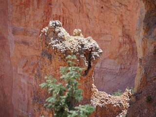 Zoomed in shot of the tip of a red rock formation at Black Birch Canyon, Bryce Canyon National Park in Utah.