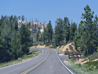 Fototapeta na wymiar Scenic drive along paved winding roads with pine trees on the roadsides at Bryce Canyon National Park, Utah.