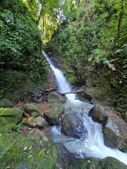 Fototapeta na wymiar Tropical pristine waterfall in the forest in Costa Rica