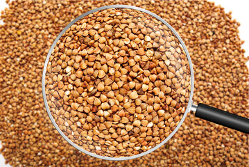 Buckwheat grain view through magnifying glass