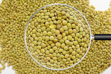 Fresh lentils view through magnifying glass
