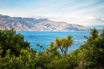 Fototapeta na wymiar Mountain range view in the late afternoon sunlight, on the side of Lake Hawea, with wild vegetation in the foreground, in Otago Region, New Zealand, Southern Alps.