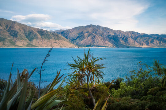 Mountain range view in the late afternoon light, on the side of Lake Hawea, with wild vegetation in the foreground, in Otago Region, New Zealand, Southern Alps.