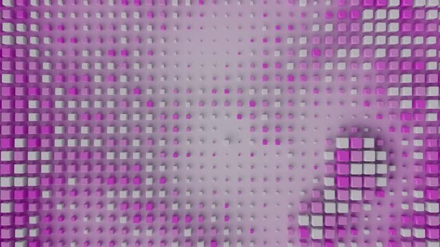 Pink cubic array is pulsating on a plane. Seamless loop 3D render animation