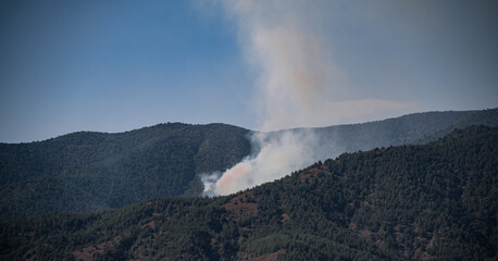 smoke rising from forest fire