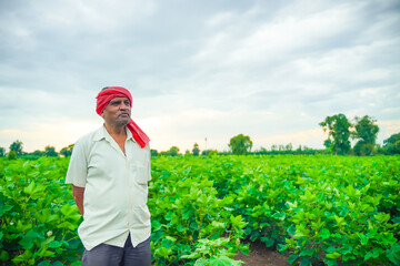 indian farmer in cotton field