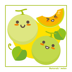 Fototapeta premium なちゅらるズ メロン果実で収穫のご案内