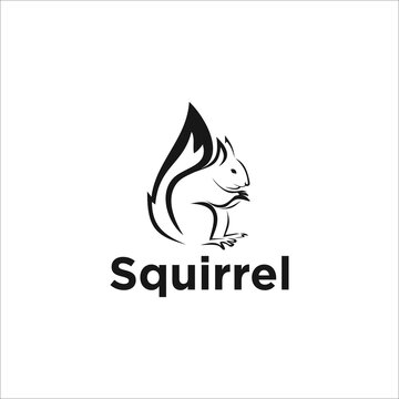 Squirrel logo icon design silhouette