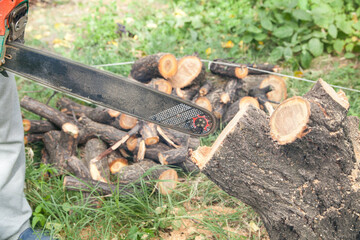 Man cutting wood with a chainsaw.