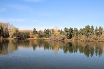 Fototapeta na wymiar Autumn Reflections On The Lake, William Hawrelak Park, Edmonton, Alberta