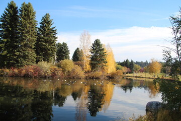 Calm Autumn, William Hawrelak Park, Edmonton, Alberta