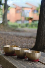 Tibetan singing bowls