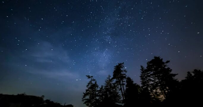 A moving time lapse of a beautiful milky way night sky with silhouetted trees. 4K 24FPS.