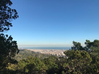 view from the top of the hill