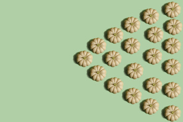 Vegetable pattern. Repeating round white pumpkin on a light green background. Beautiful pattern from natural vegetables. Horizontal. The concept of healthy food and vegetarianism.
