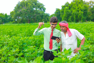 young handsome agronomist and farmer inspecting cotton field with tablet