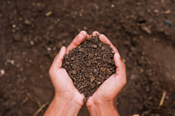 Black soil holding in hand