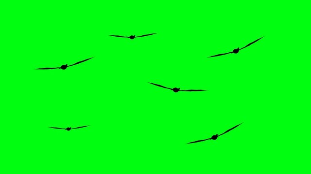 silhouettes of flitter-mouse flying on green screen chroma key, halloween elements