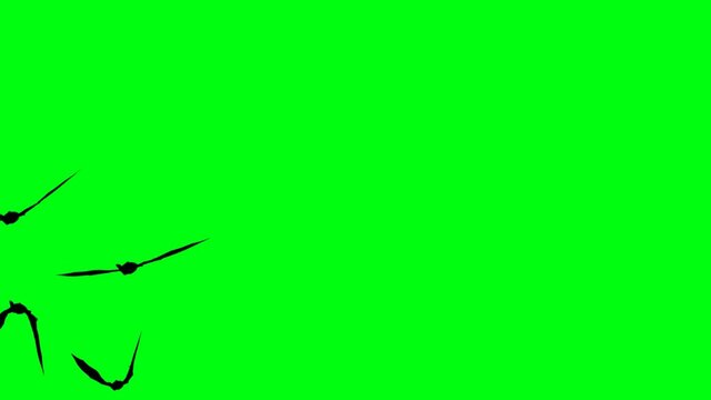 silhouettes of flitter-mouse flying on green screen chroma key, halloween elements