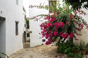 Castellar de la Frontera, street with flowers at the white facades, Spain
