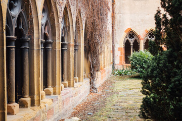 Fototapeta premium cloitre d'une abbaye. Cloitre du monastère de Colmar