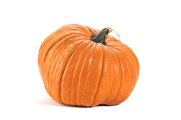 Single orange pumpkin on white background.