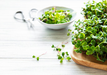 Assortment of micro greens on white wooden  background, copy space, top view.  Healthy lifestyle