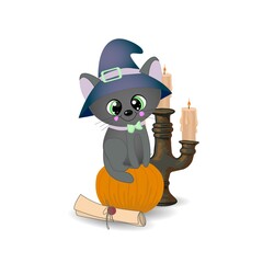 Halloween black cat in a magic cap. Composition for Halloween isolated on white background
