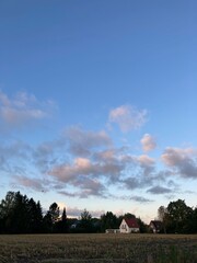 hay bales in a field