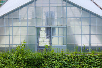 ビニールハウス