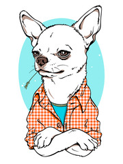 Cute cartoon chihuahua dog in a plaid shirt. stylish image for printing on any surface