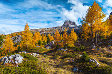 Autumn scenery with colorful larch trees in the Dolomites, Italy