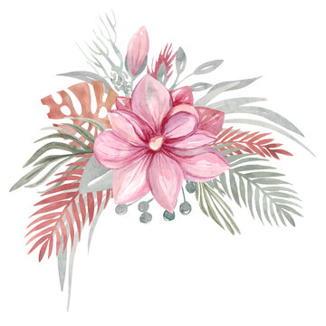 Floral autumn dried flowers and branches. Pink flowers of Magnolia Leaves, Tropical leaves. Botanical elements. Vector