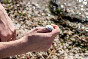 hand with stones
