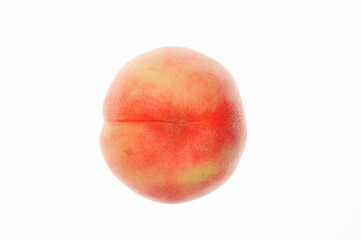 白バックにモモ