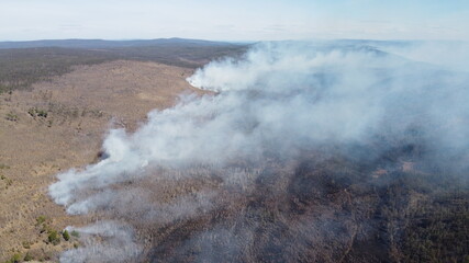geyser in park national park