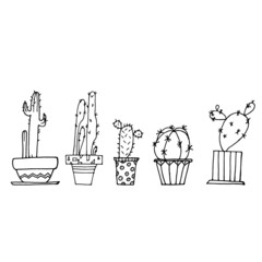 Cacti in pots. Doodles, hand-drawn in black and white. Cute little cacti drawing. illustration of a set of icons for design