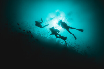 Scuba divers swimming among colorful coral reef and tropical fish in clear blue water, Indian Ocean © Aaron