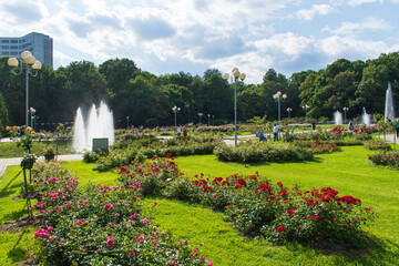 Obraz premium The Tsytsin Main Moscow Botanical Garden of Academy of Sciences. The Rose Garden