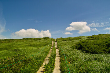 木道 © Paylessimages