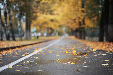 Autumn rain in the park