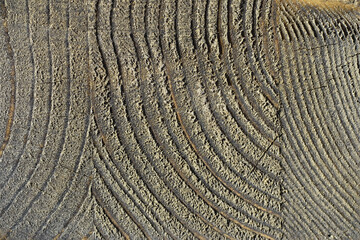 Wood texture background. The contrasting texture of the boards. Wooden structure with macro shot.