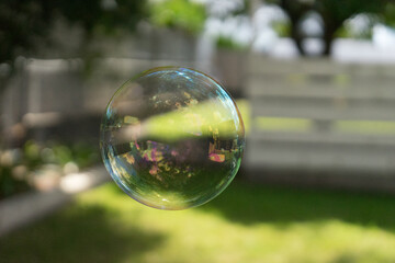 soap bubbles in the park