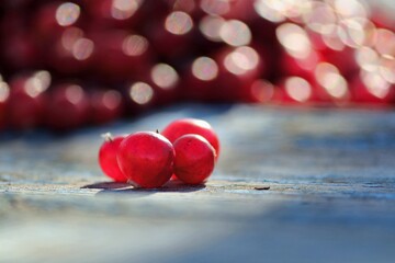 Several transparent red cranberries on an old rough wooden blue surface on a background of many red...
