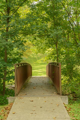 wooden bridge in the park