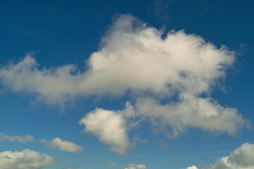 雲